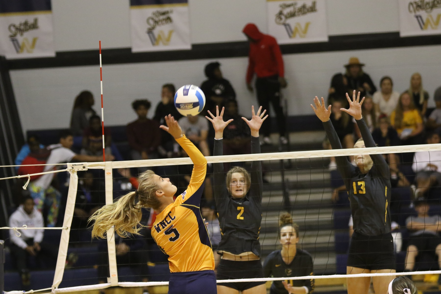 Beining pounds down 16 kills, leads Cougars to win over EWC