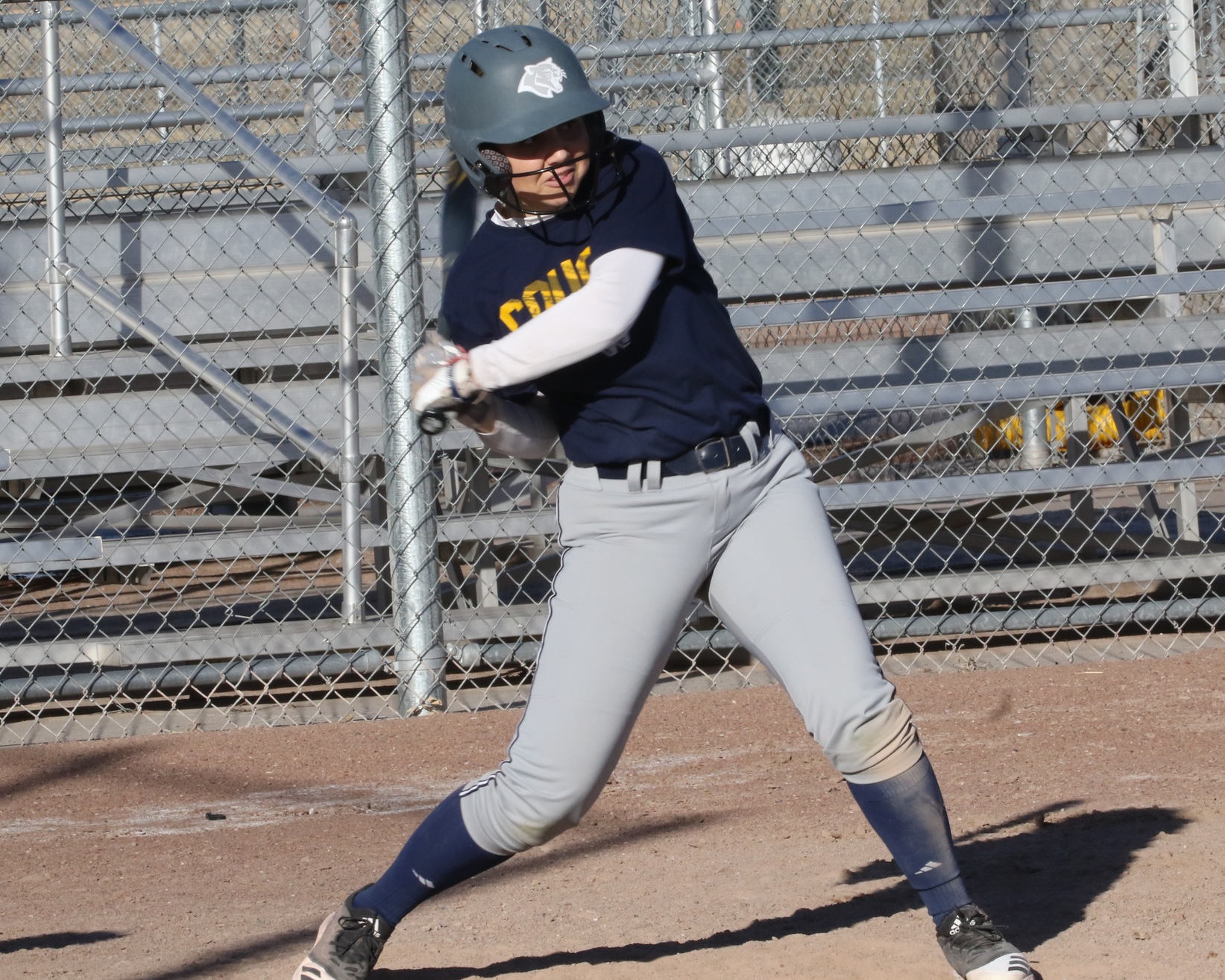 WNCC softball drops games to Odessa