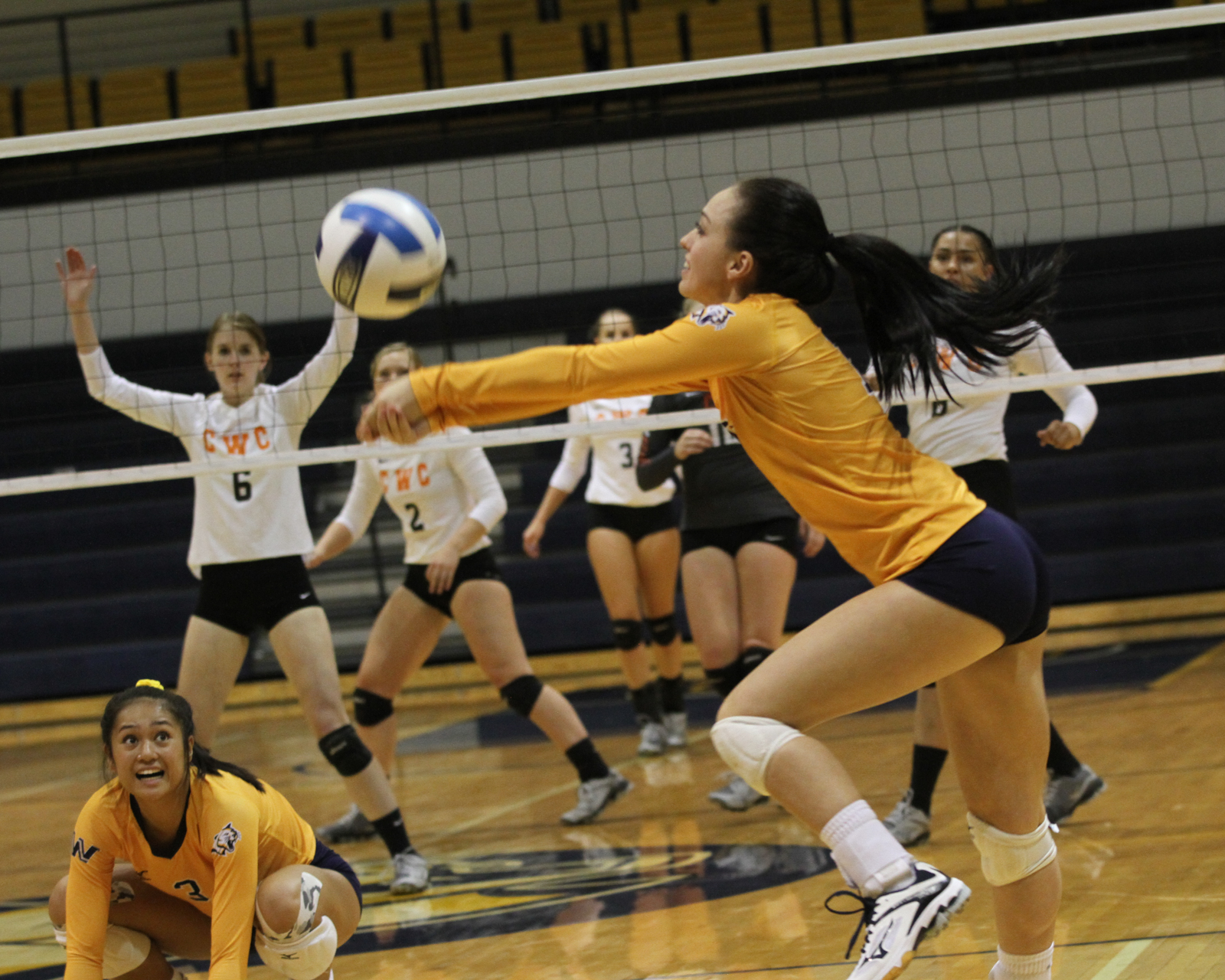 WNCC volleyball sweeps, Central Wyoming, Northwest