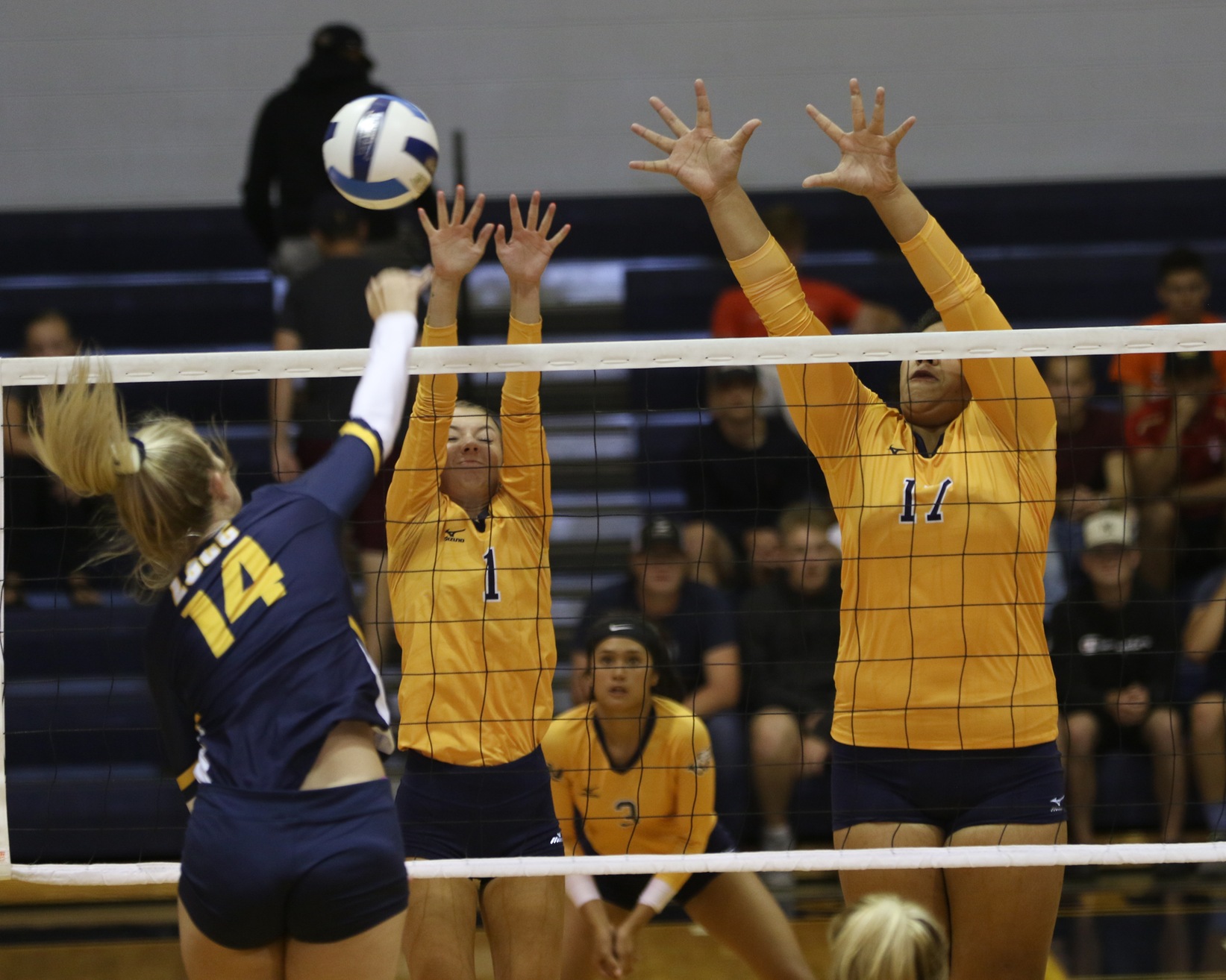 WNCC falls in five sets to Laramie County