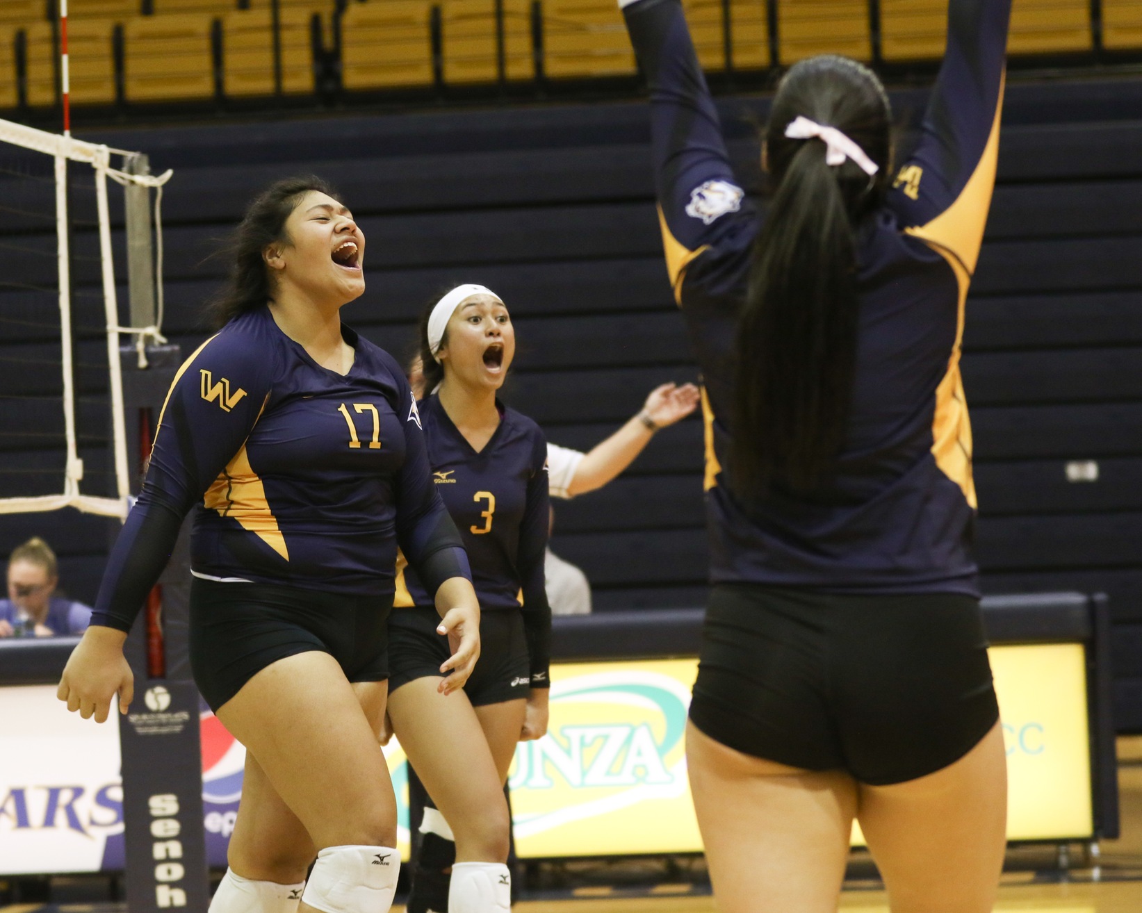 Cougar volleyball set for regionals