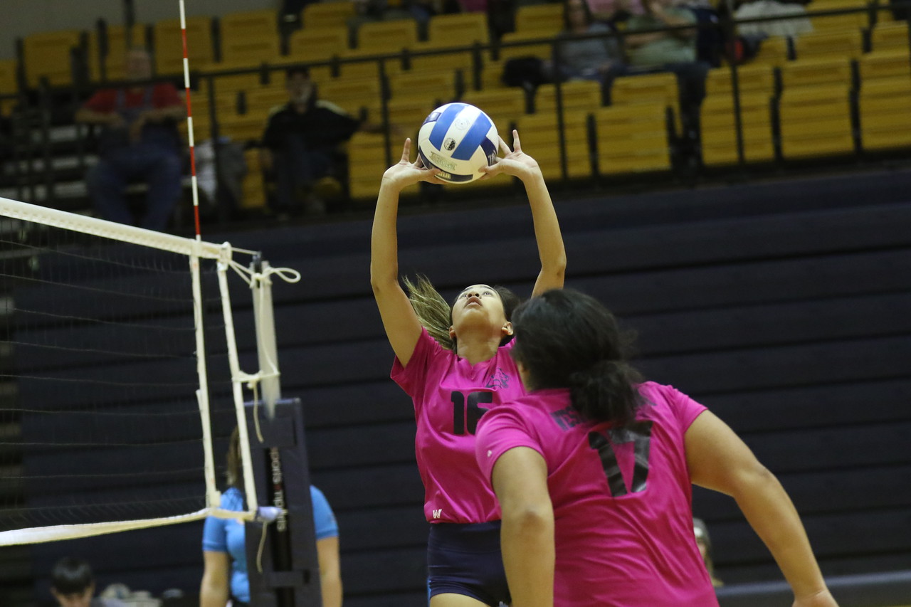 WNCC volleyball falls in five sets