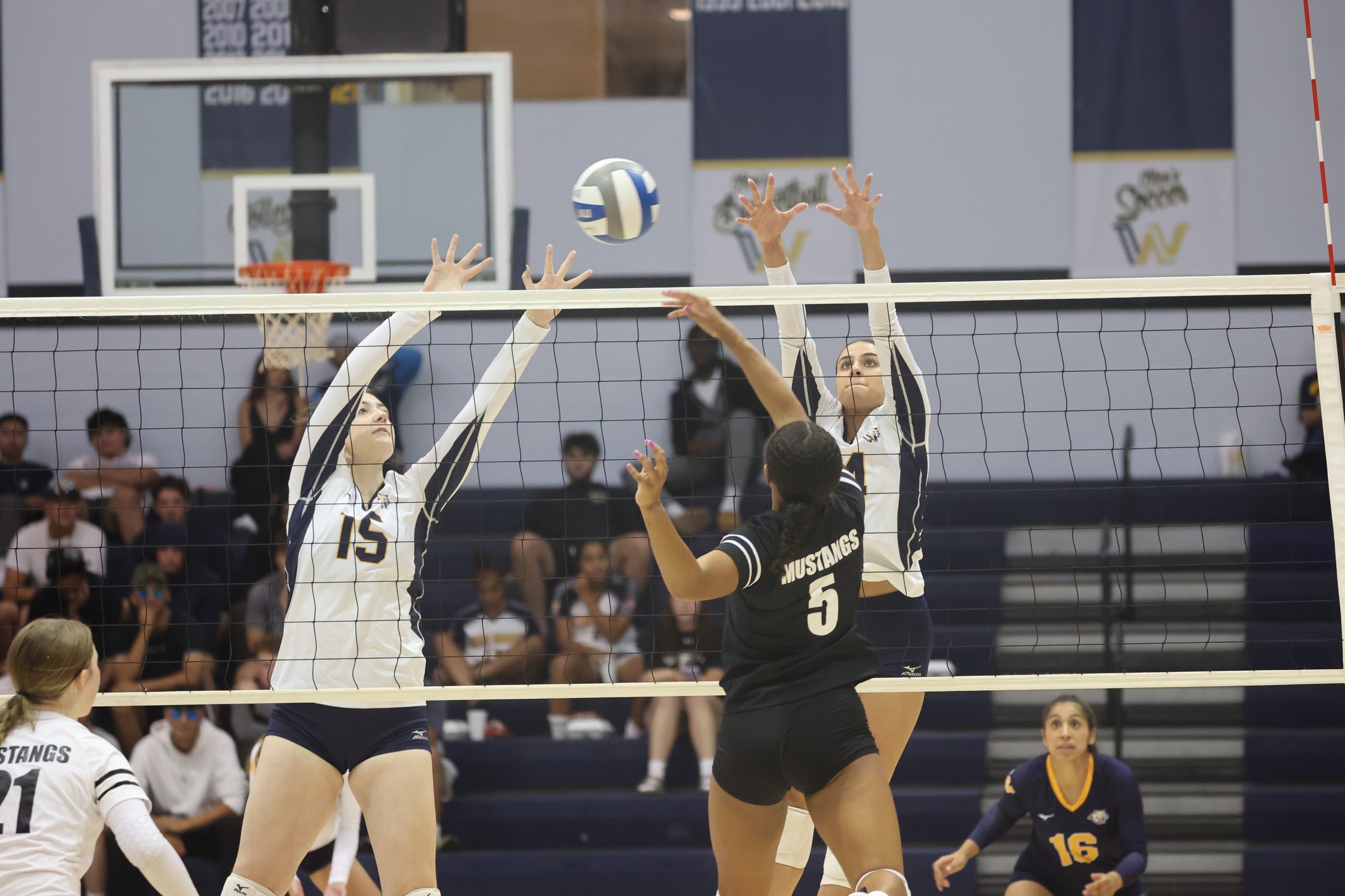 Cougars go up for a block.